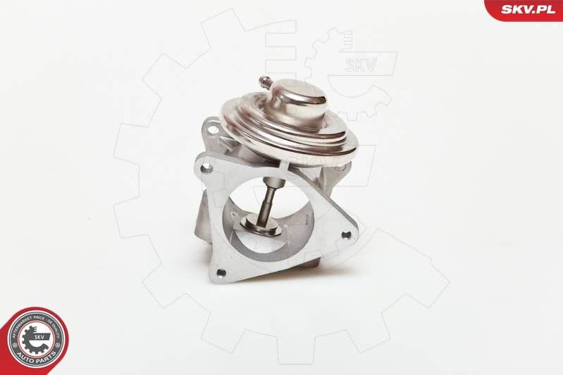 Izpl. gāzu recirkulācijas vārsts ESEN SKV 14SKV019 1