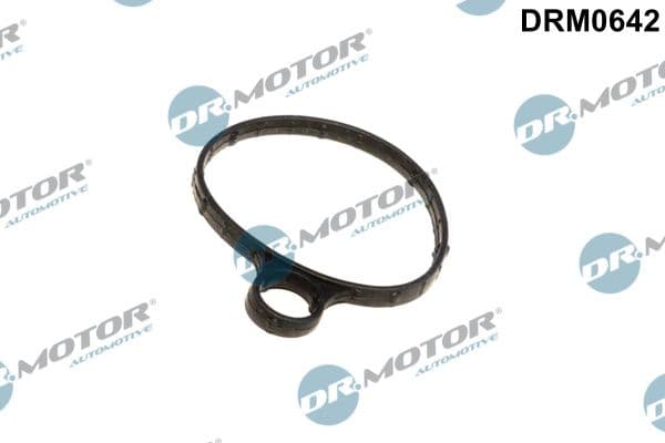 Blīve, Vakuumsūknis Dr.Motor Automotive DRM0642 1