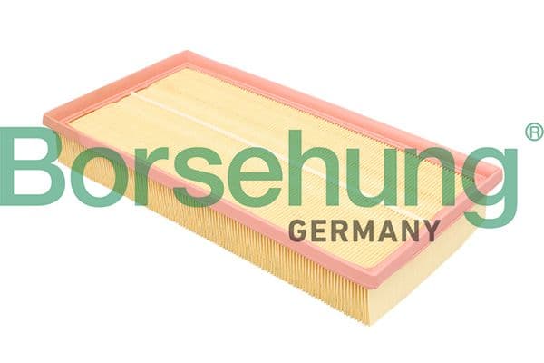 Gaisa filtrs Borsehung B18293 1