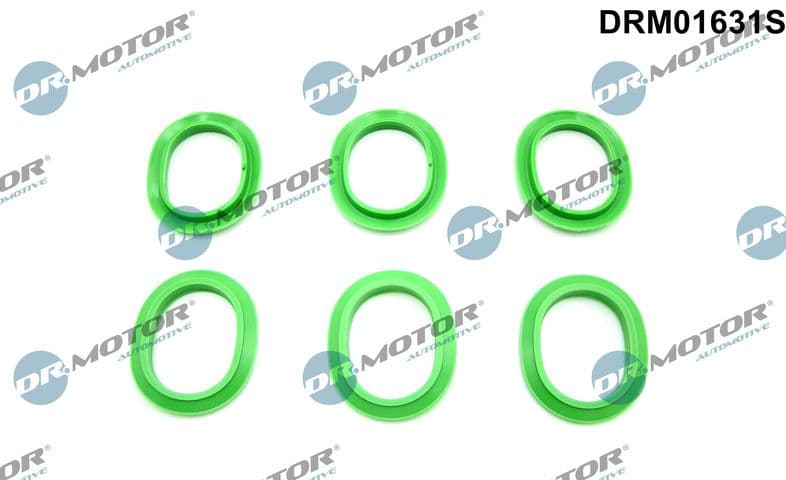 Blīvju komplekts, Ieplūdes kolektors Dr.Motor Automotive DRM01631S 1