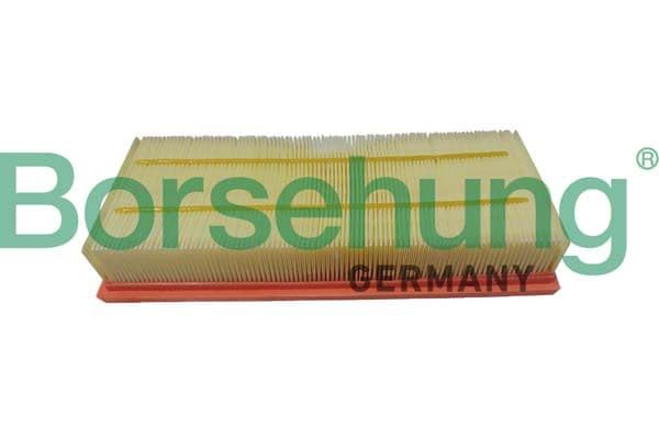 Gaisa filtrs Borsehung B12403 1