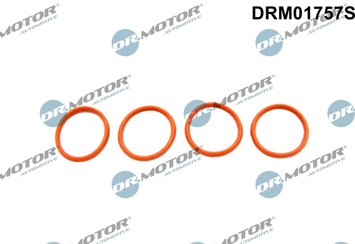 Blīvju komplekts, Ieplūdes kolektors Dr.Motor Automotive DRM01757S 1