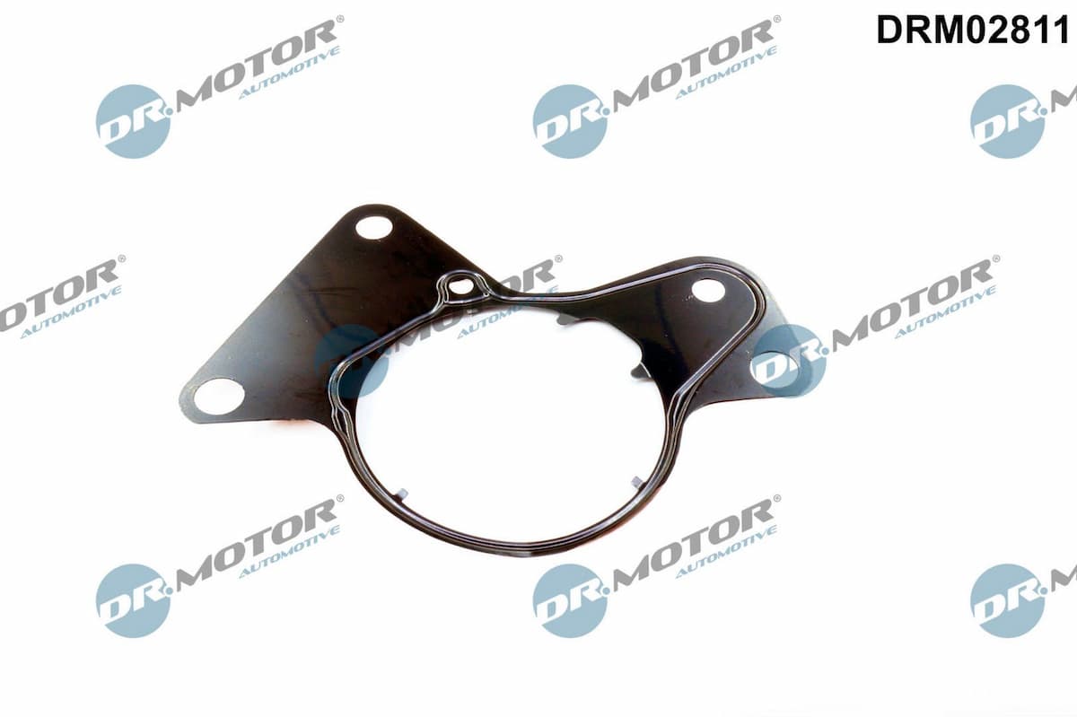 Blīve, Degvielas sūknis Dr.Motor Automotive DRM02811 1