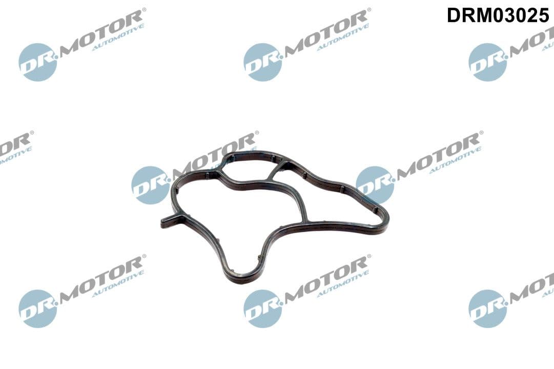 Blīve, Eļļas filtra korpuss Dr.Motor Automotive DRM03025 1